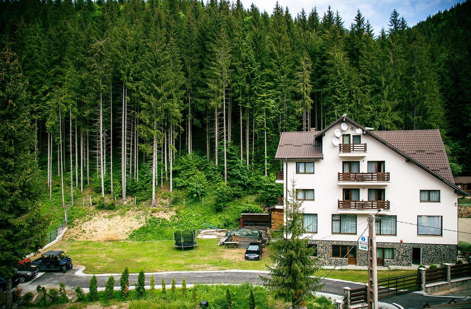 Perla Padurii Hotel Valea Mare  Exterior photo
